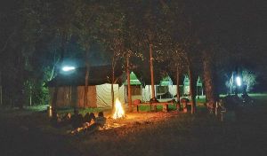 Feel The Sound Beach Camping